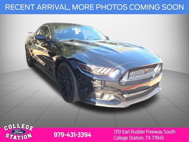 2015 Ford Mustang GT's photo