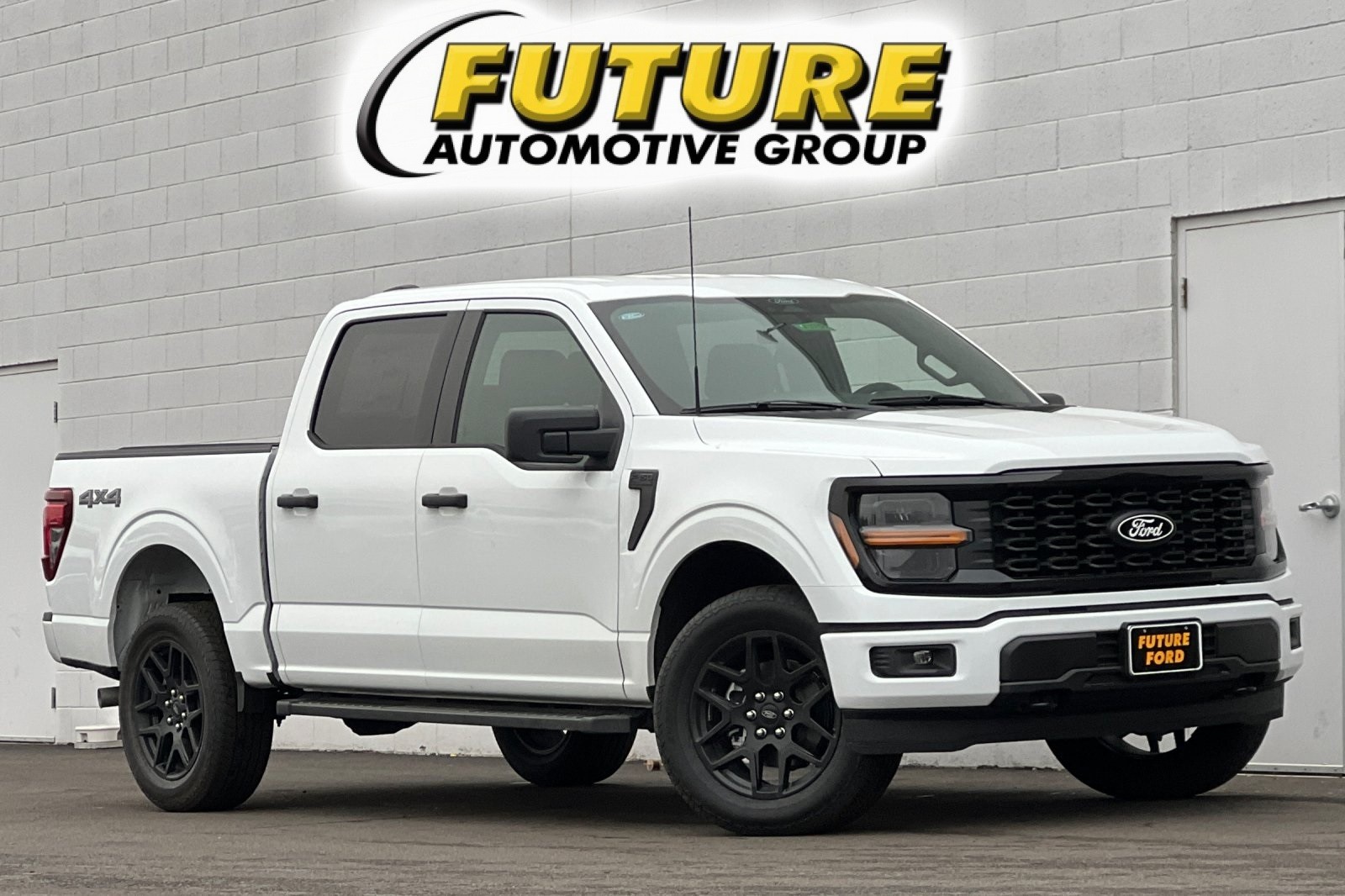 2025 Ford F-150 STX's photo