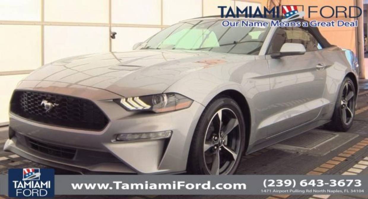 2023 Ford Mustang EcoBoost's photo