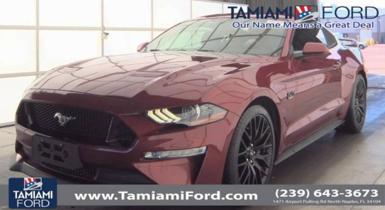 2019 Ford Mustang GT's photo