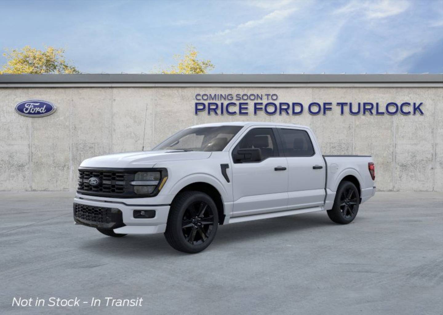 2025 Ford F-150 STX's photo