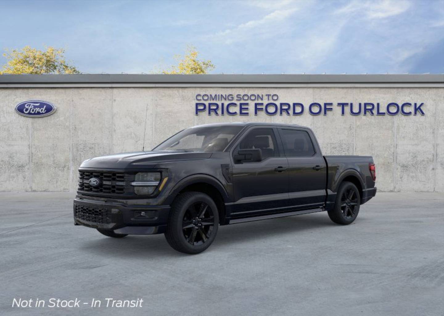 2025 Ford F-150 STX's photo