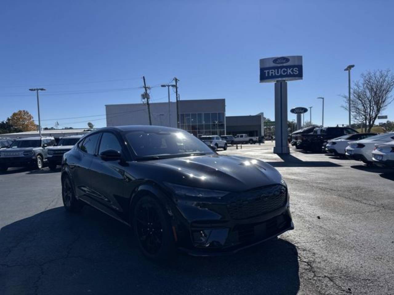 2025 Ford Mustang Mach-E GT AWD's photo