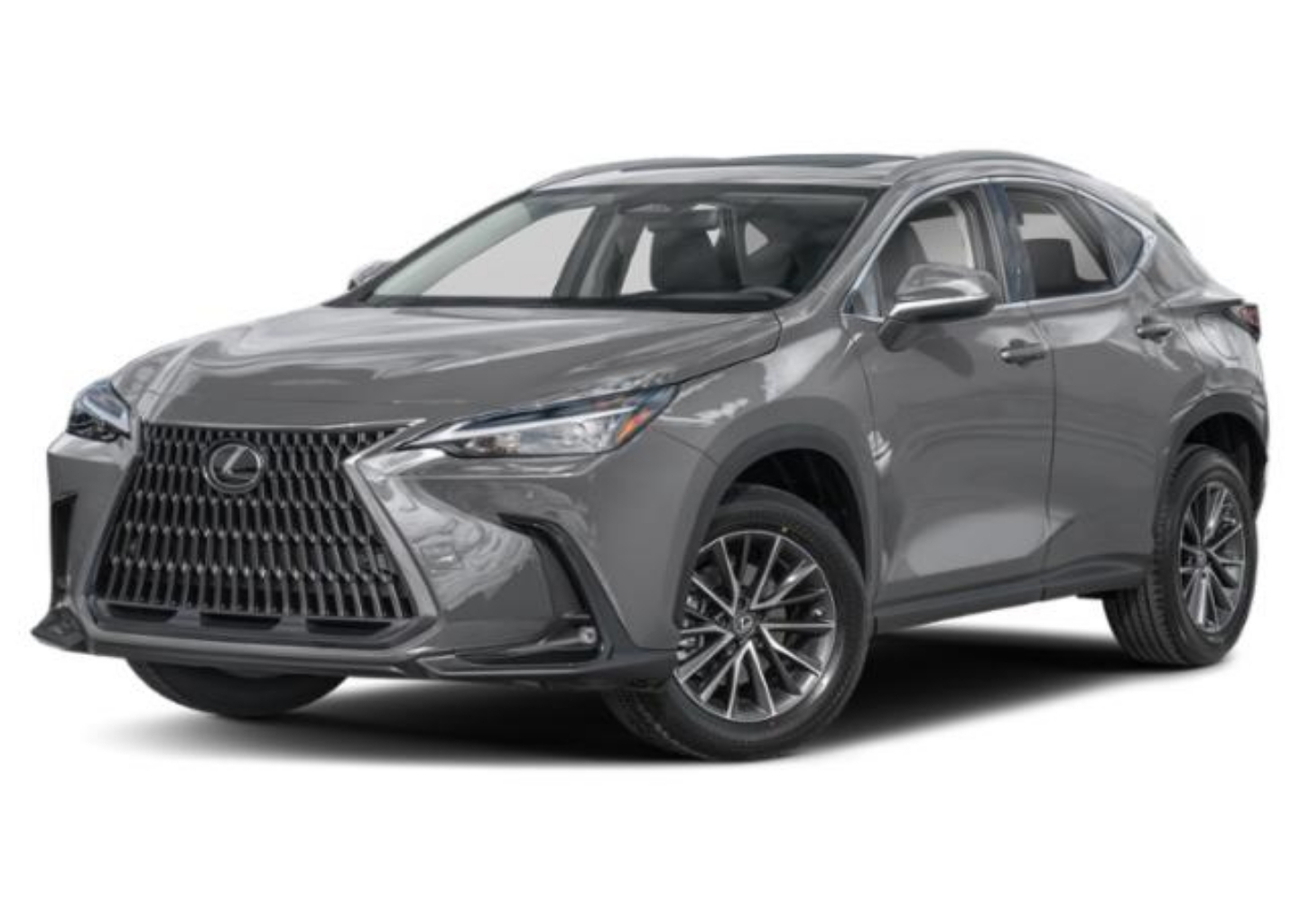 2022 Lexus NX 250's photo