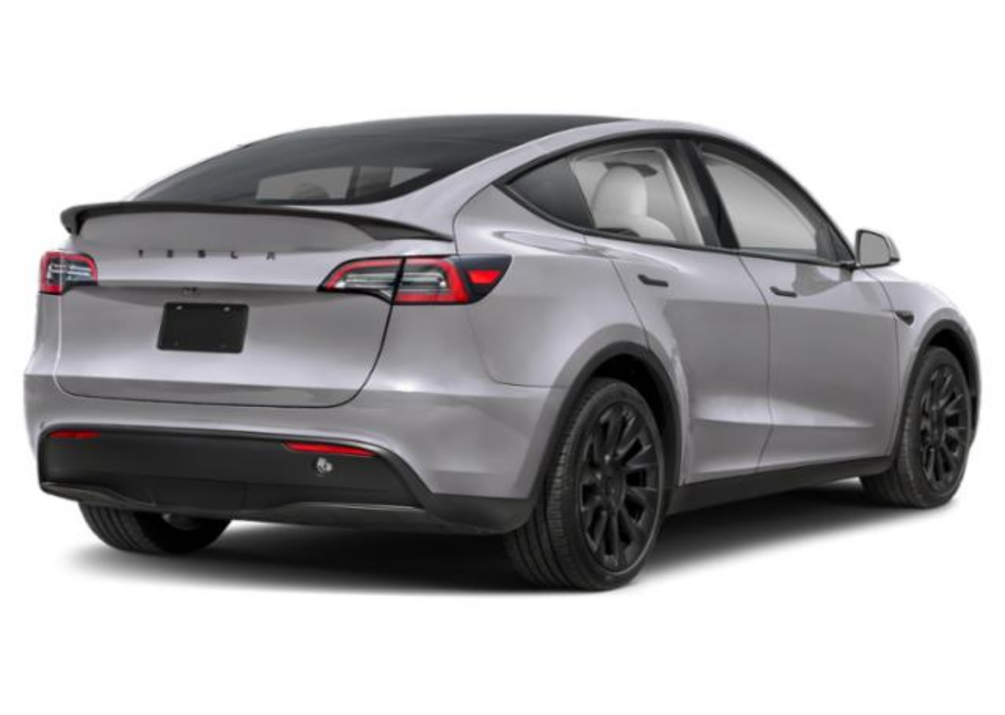 Used 2024 Tesla Model Y Long Range with VIN 7SAYGDED5RA303646 for sale in Northfield, Minnesota