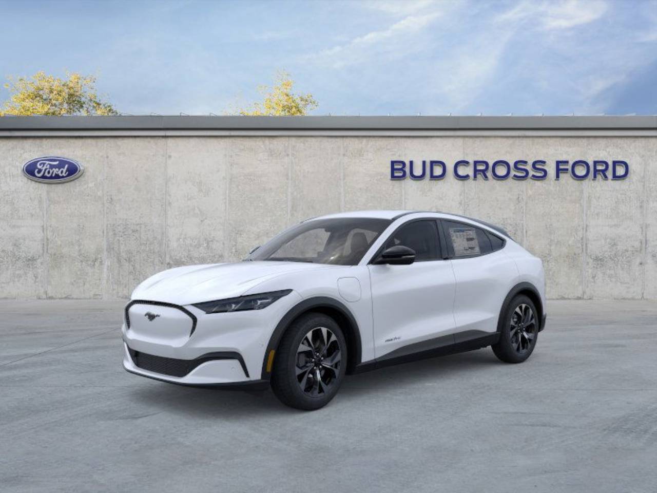 2025 Ford Mustang Mach-E Select RWD's photo