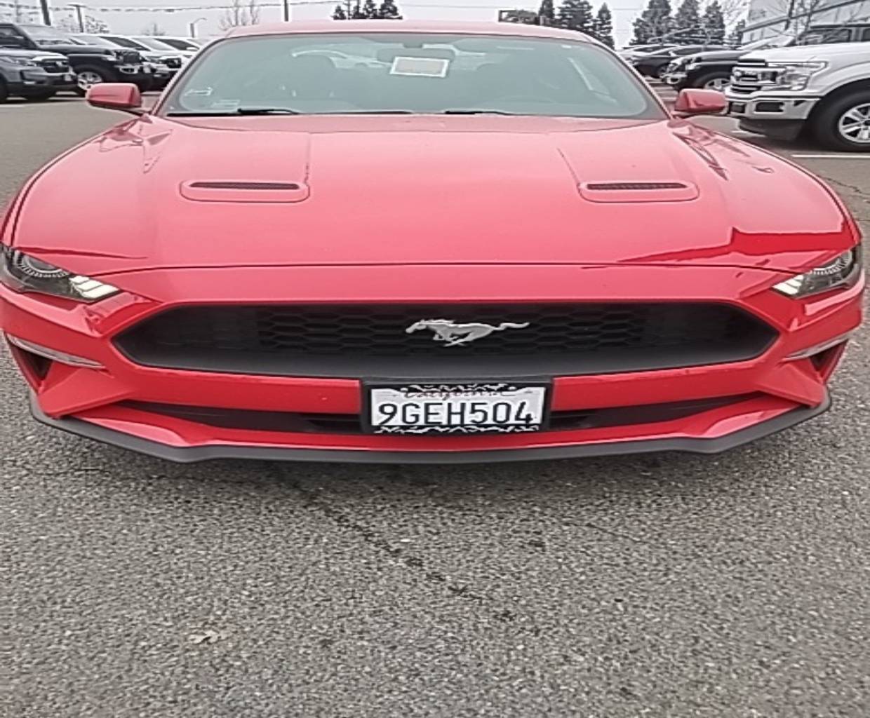 2019 Ford Mustang EcoBoost's photo