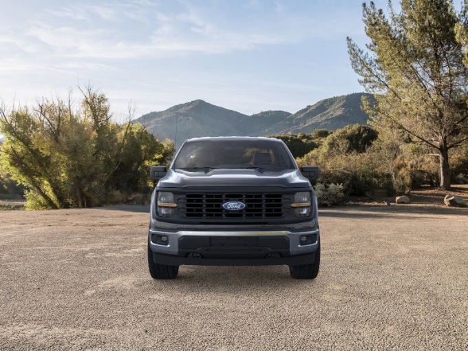 2025 Ford F-150 XL - Photo 6