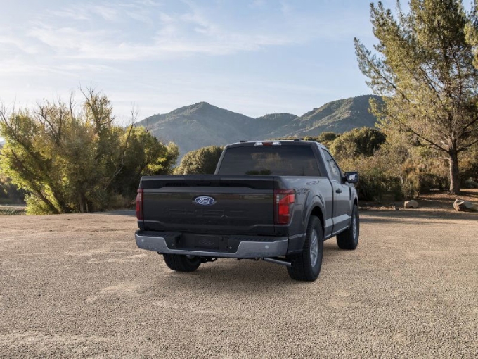 2025 Ford F-150 XL - Photo 8