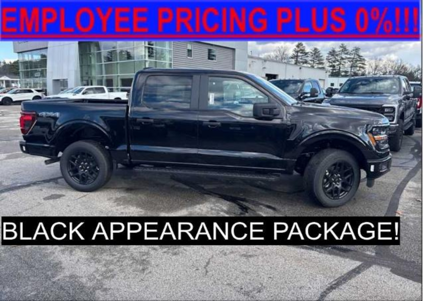 2025 Ford F-150 STX's photo