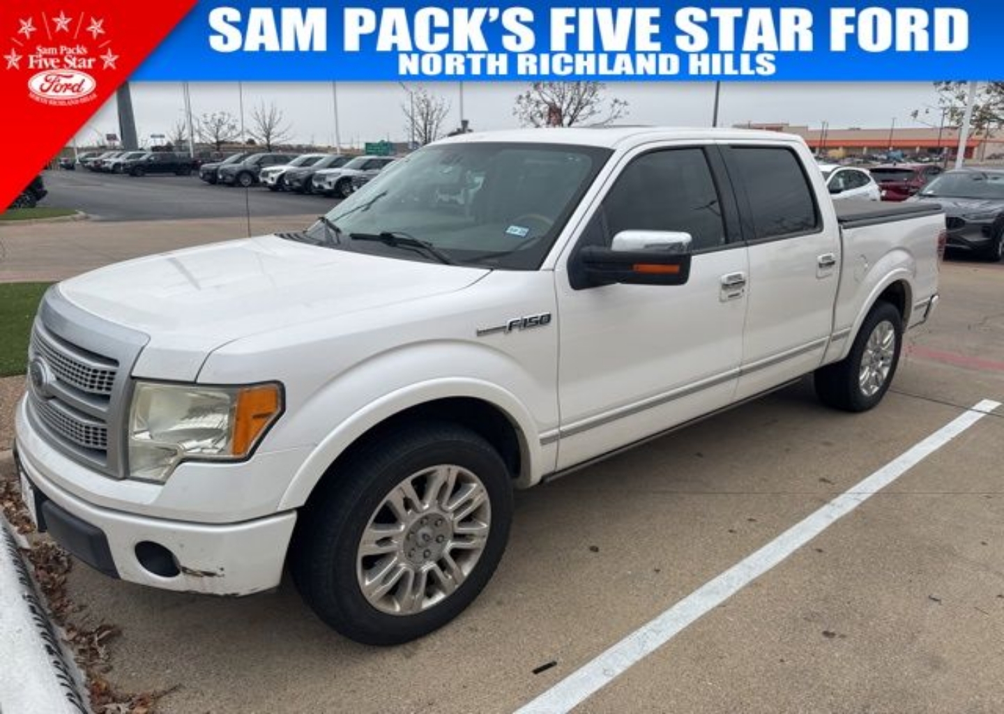 2010 Ford F-150 Platinum