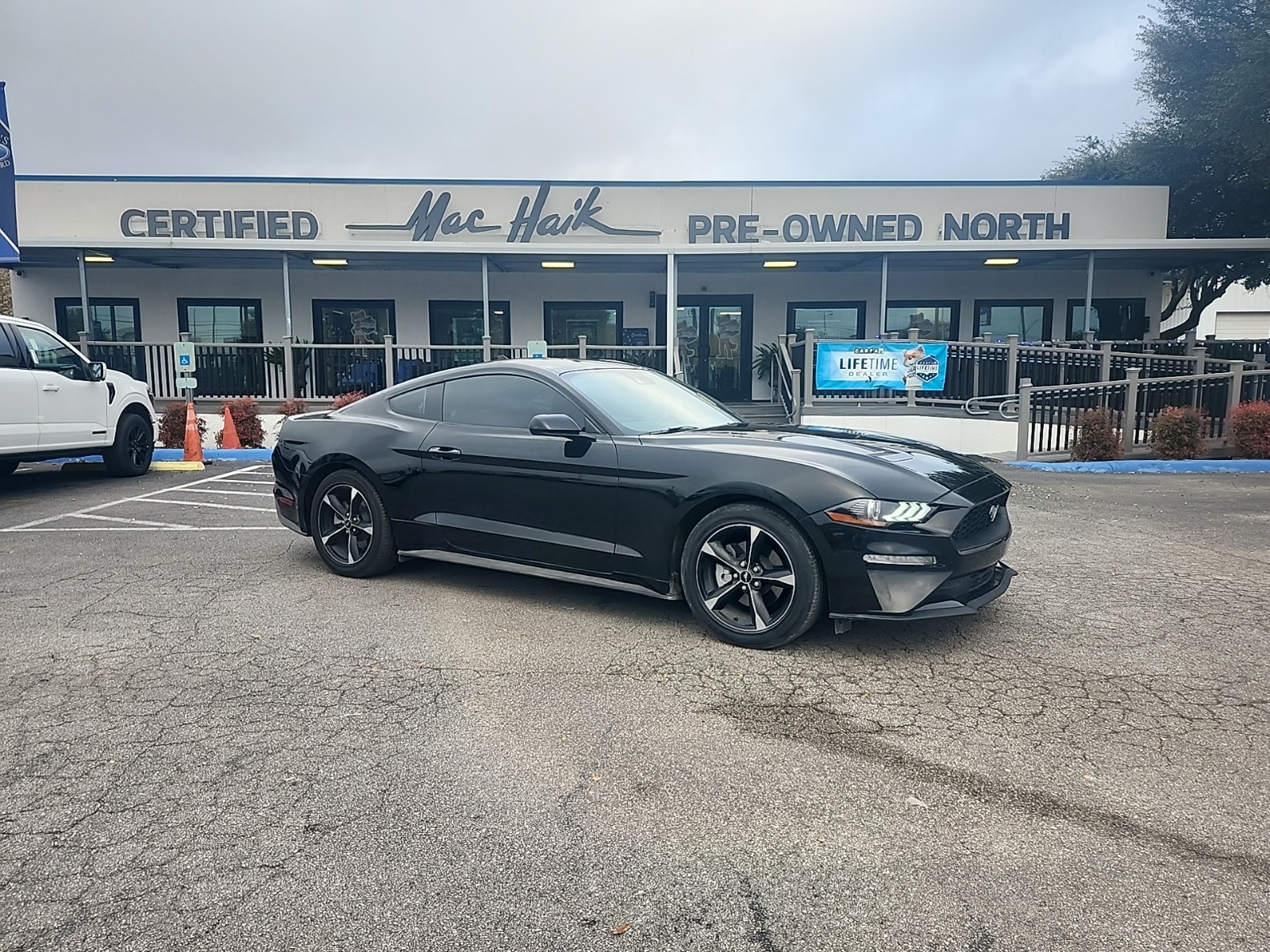 2023 Ford Mustang EcoBoost's photo