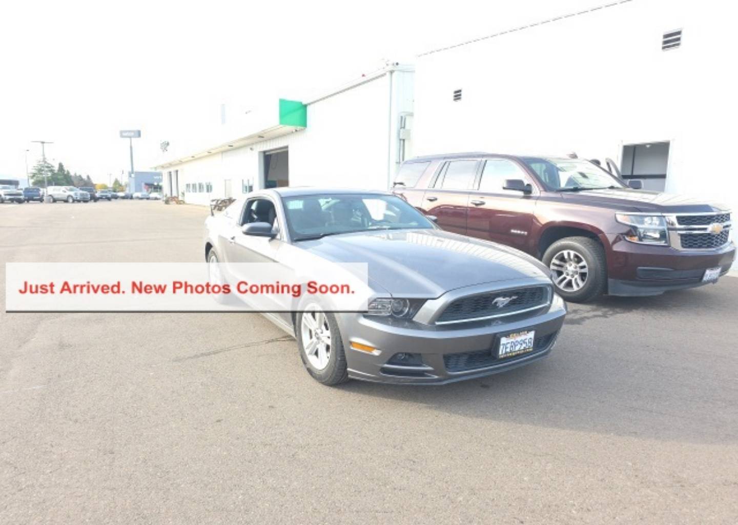 2014 Ford Mustang V6's photo