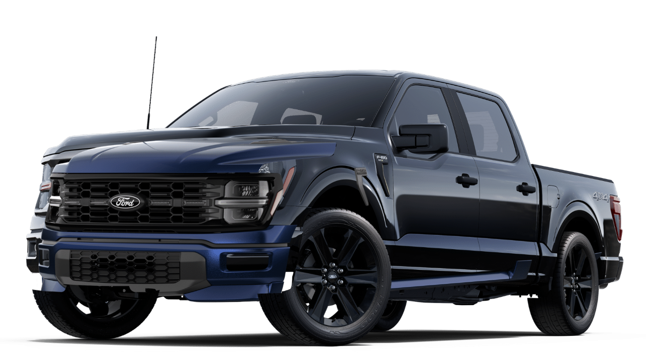 2025 Ford F-150 STX's photo