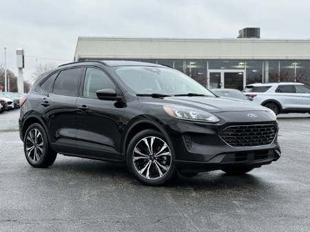 2021 Ford Escape SE Hybrid