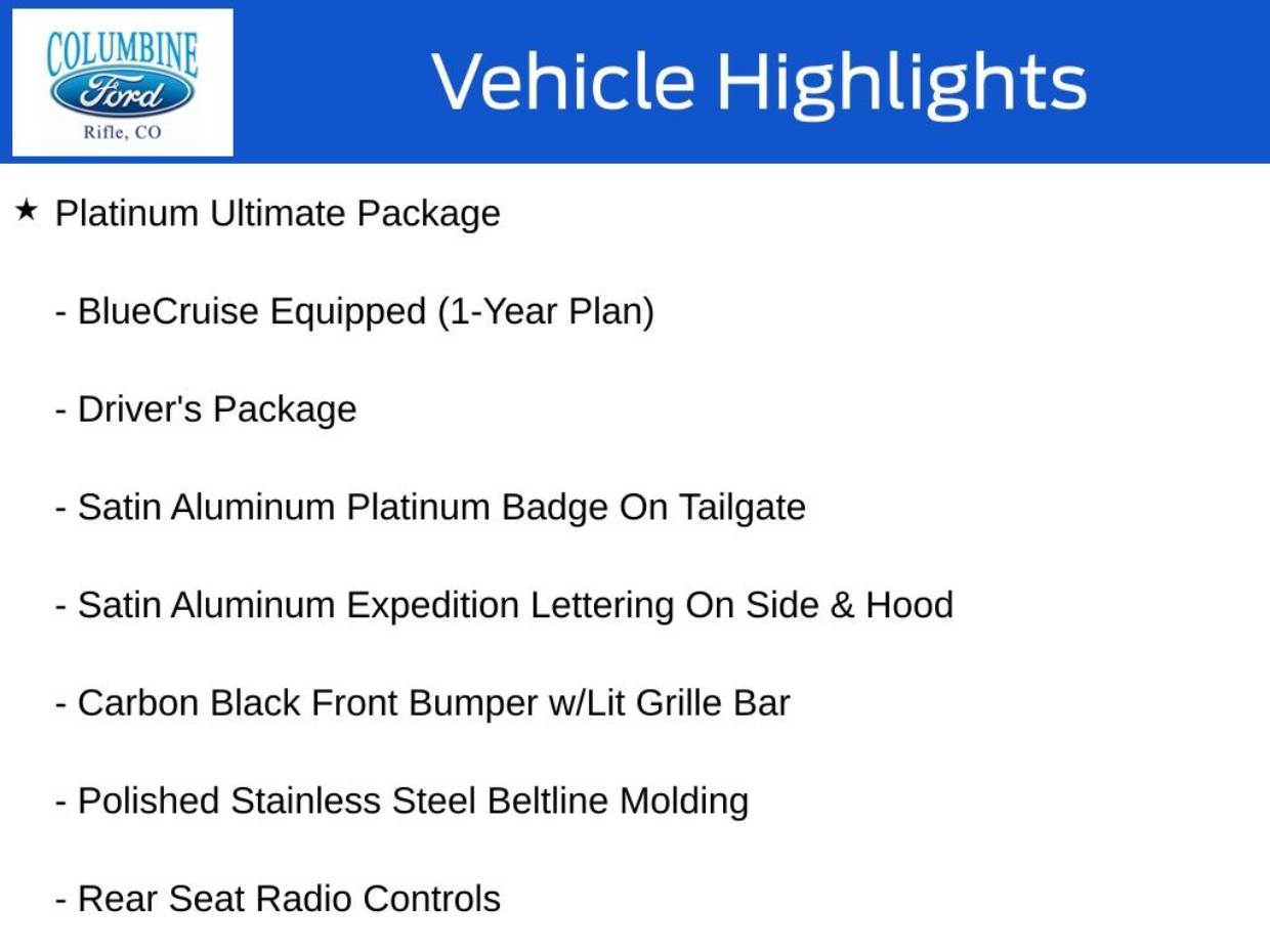 2025 Ford Expedition Platinum's photo