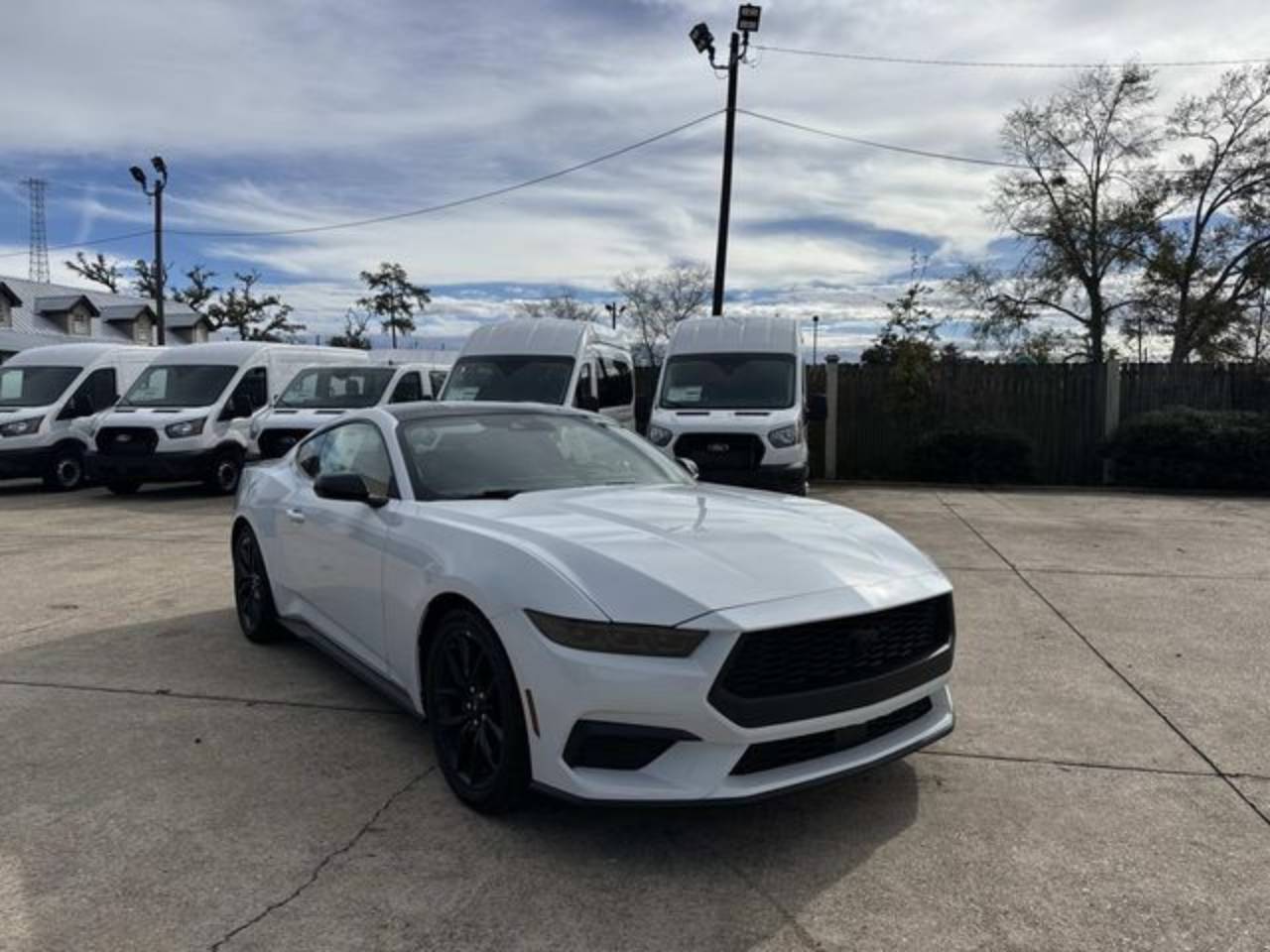 2026 Ford Mustang EcoBoost's photo