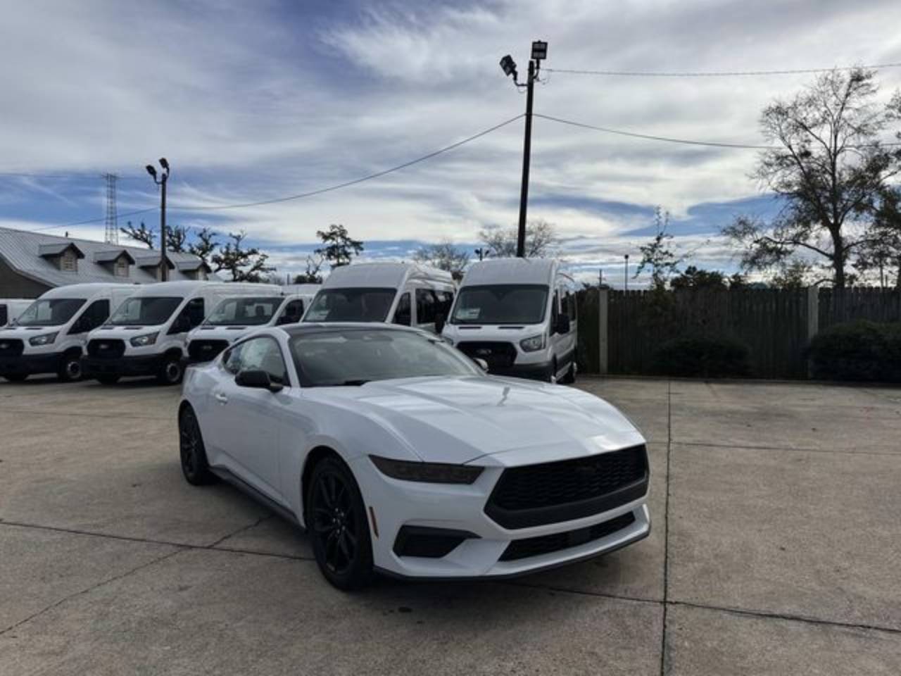 2026 Ford Mustang EcoBoost's photo