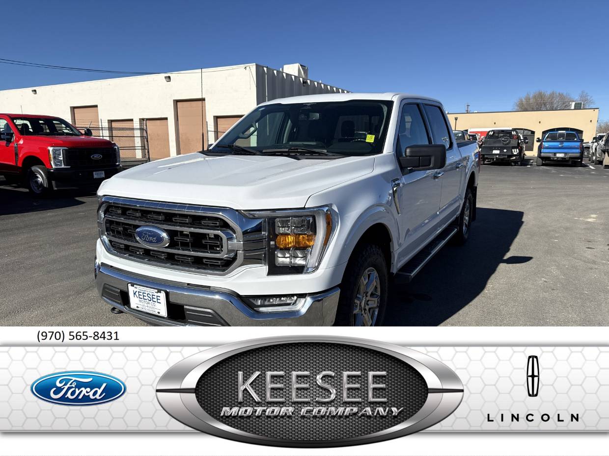 2023 Ford F-150 XLT's photo