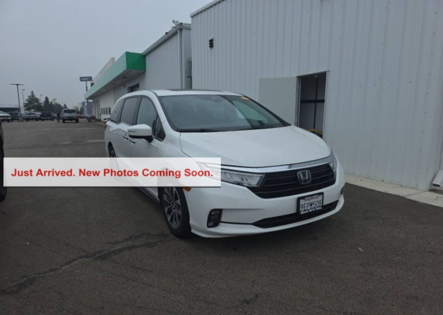 2023 Honda Odyssey EX-L's photo