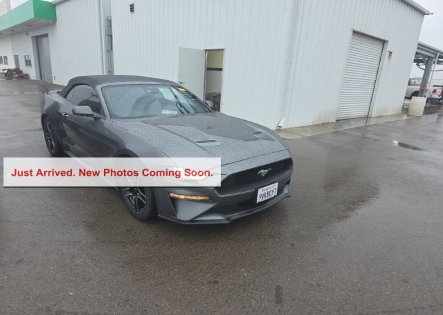 2023 Ford Mustang EcoBoost Premium's photo