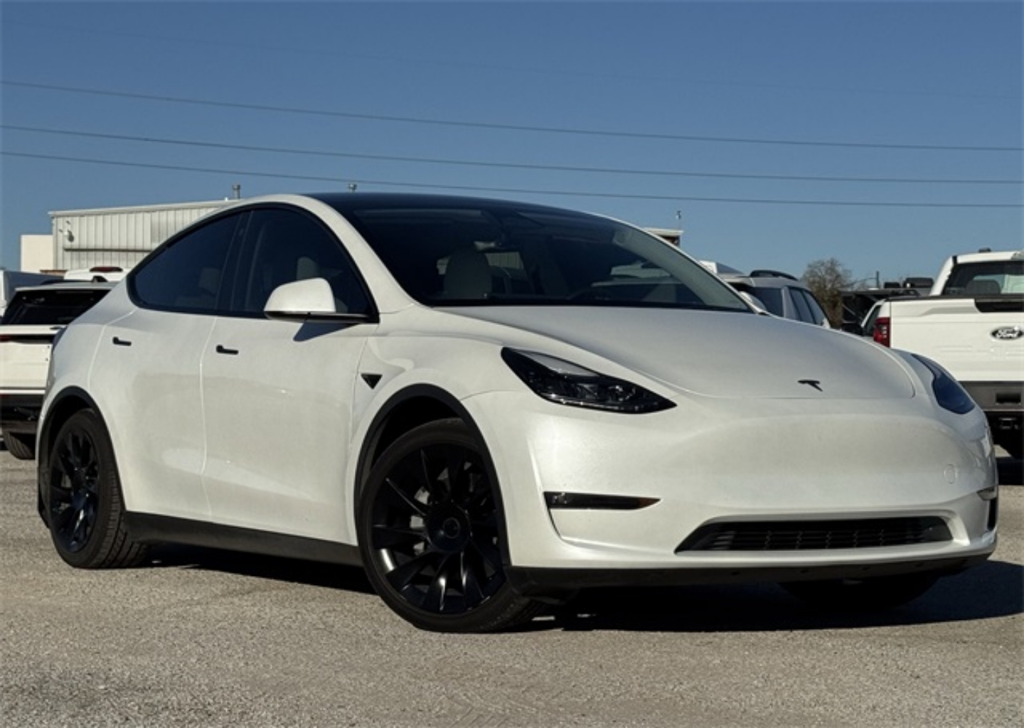 2023 Tesla Model Y Long Range's photo