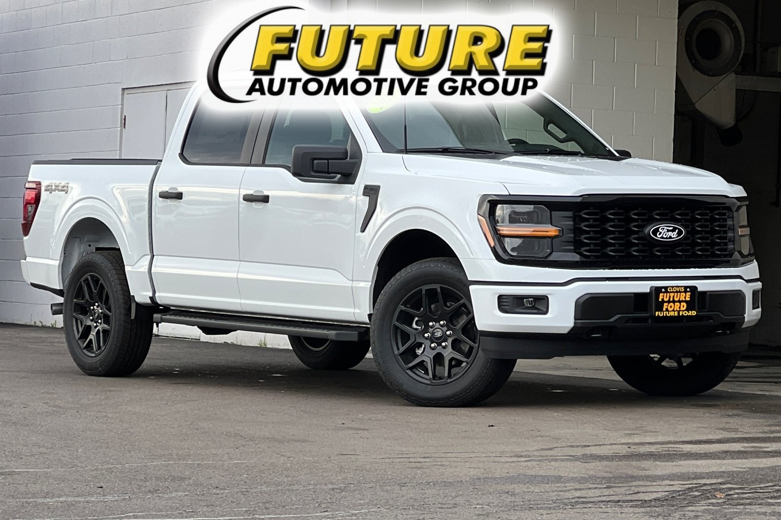 2025 Ford F-150 STX's photo