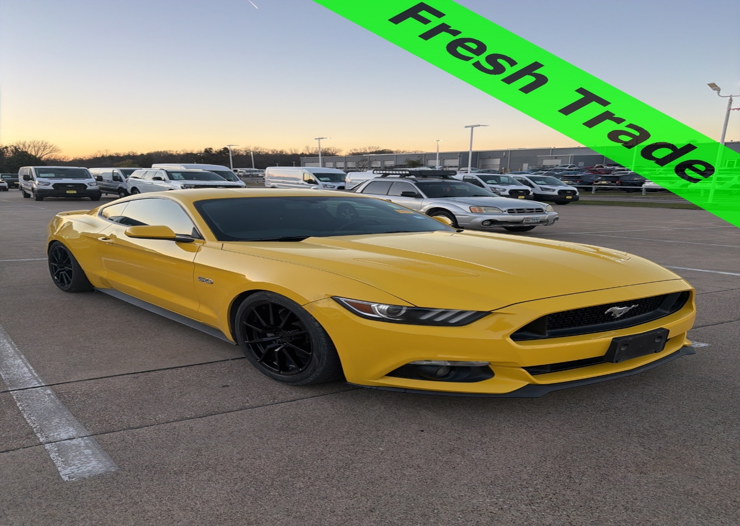 2017 Ford Mustang GT's photo
