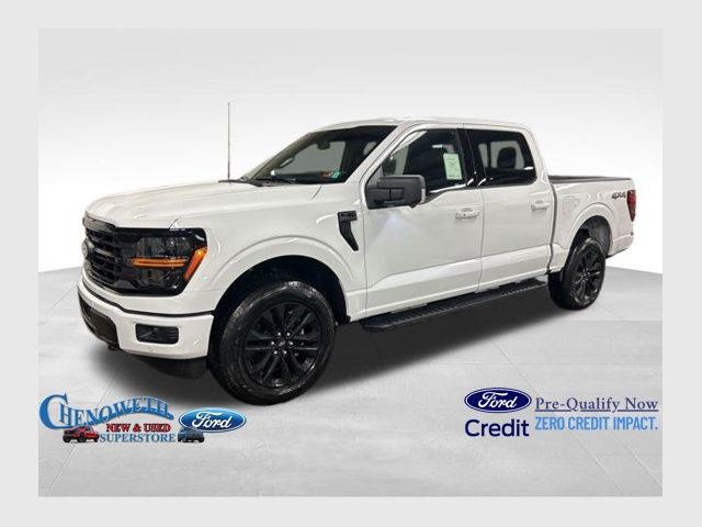 2025 Ford F-150 XLT's photo