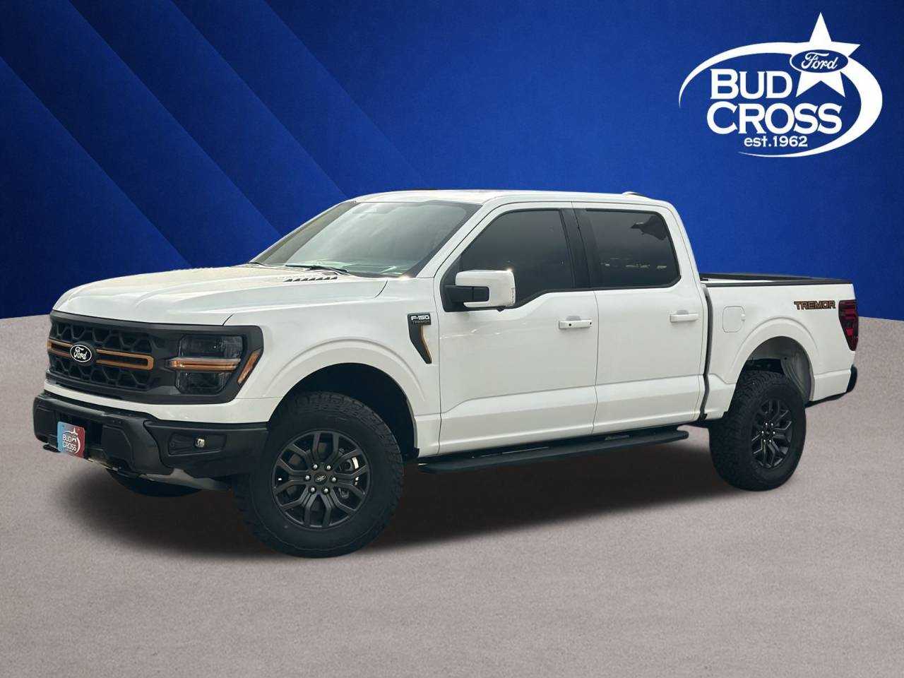 2025 Ford F-150 Tremor's photo