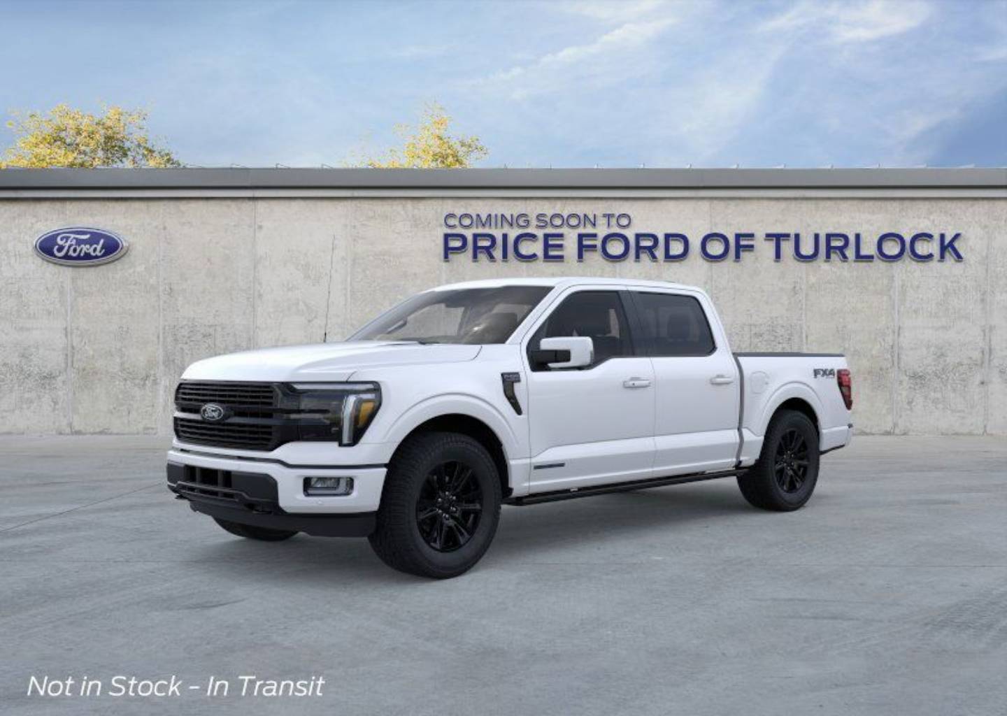 2025 Ford F-150 Platinum's photo