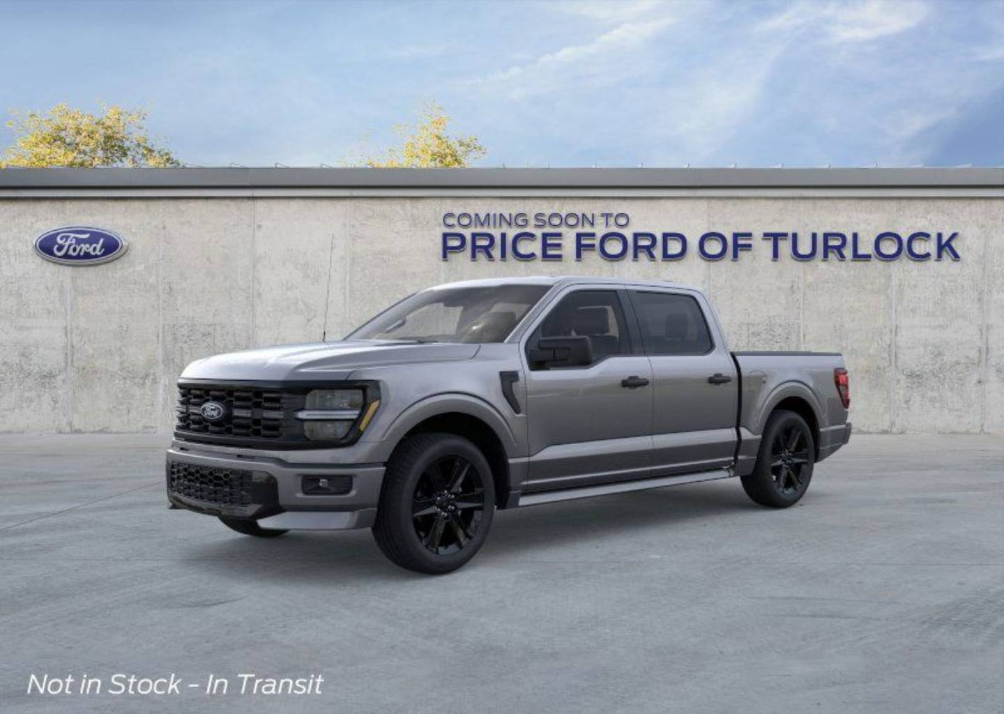 2025 Ford F-150 STX's photo