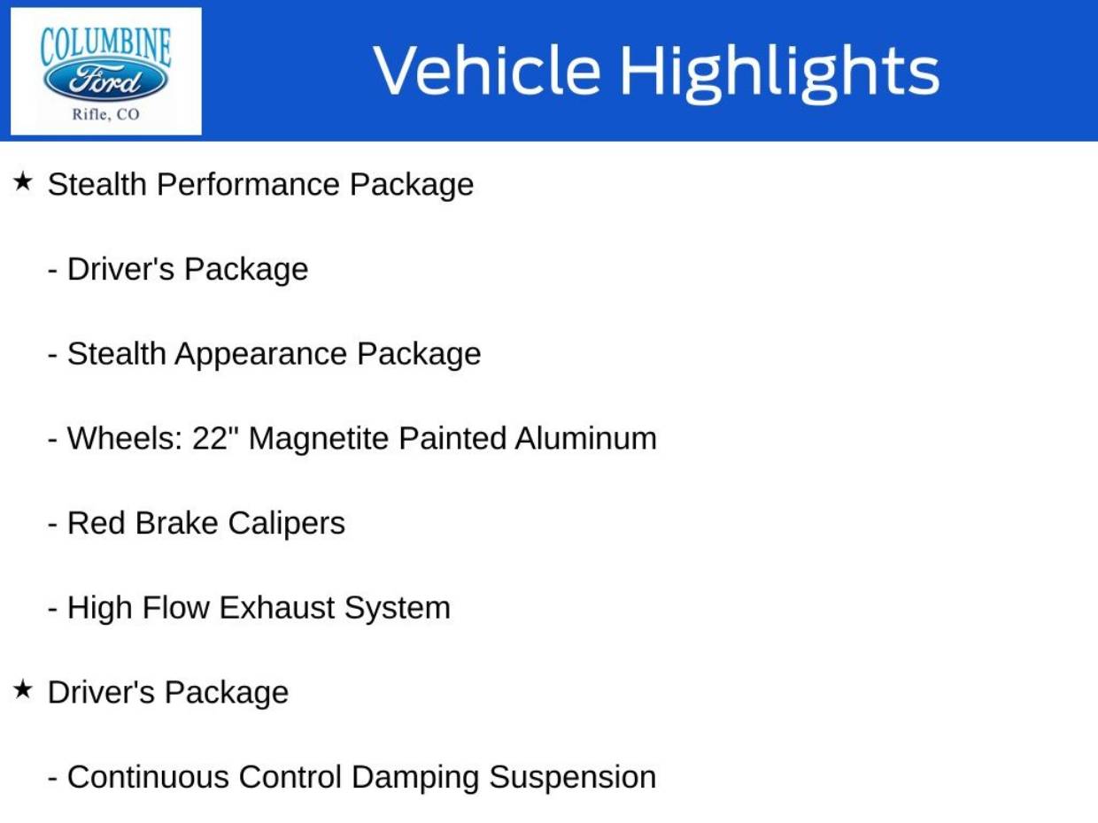 2025 Ford Expedition Platinum's photo