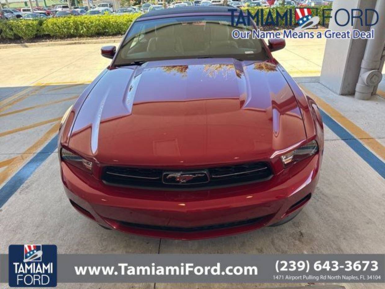 2012 Ford Mustang Mach 1's photo