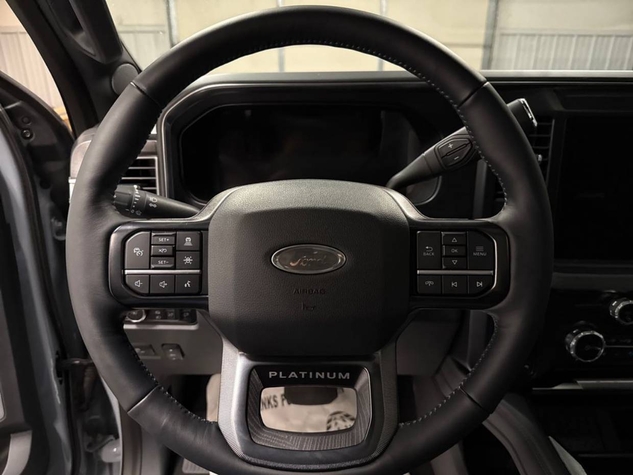 2025 Ford F-350 Super Duty Platinum - Photo 10