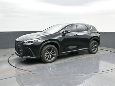 2025 Lexus NX 250 Premium