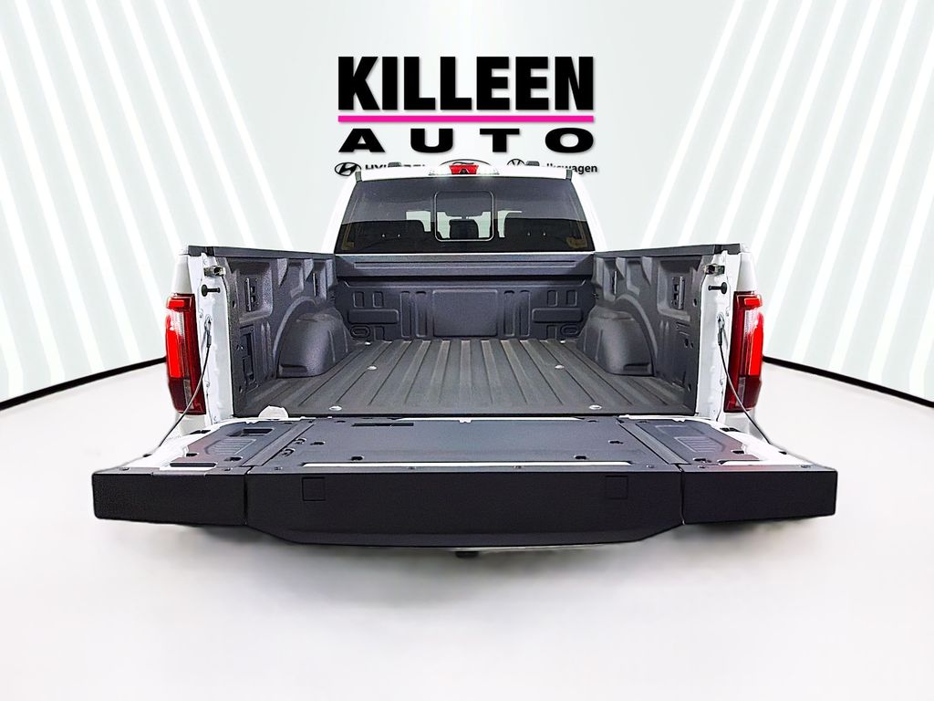 2025 Ford F-150 Platinum - Photo 29