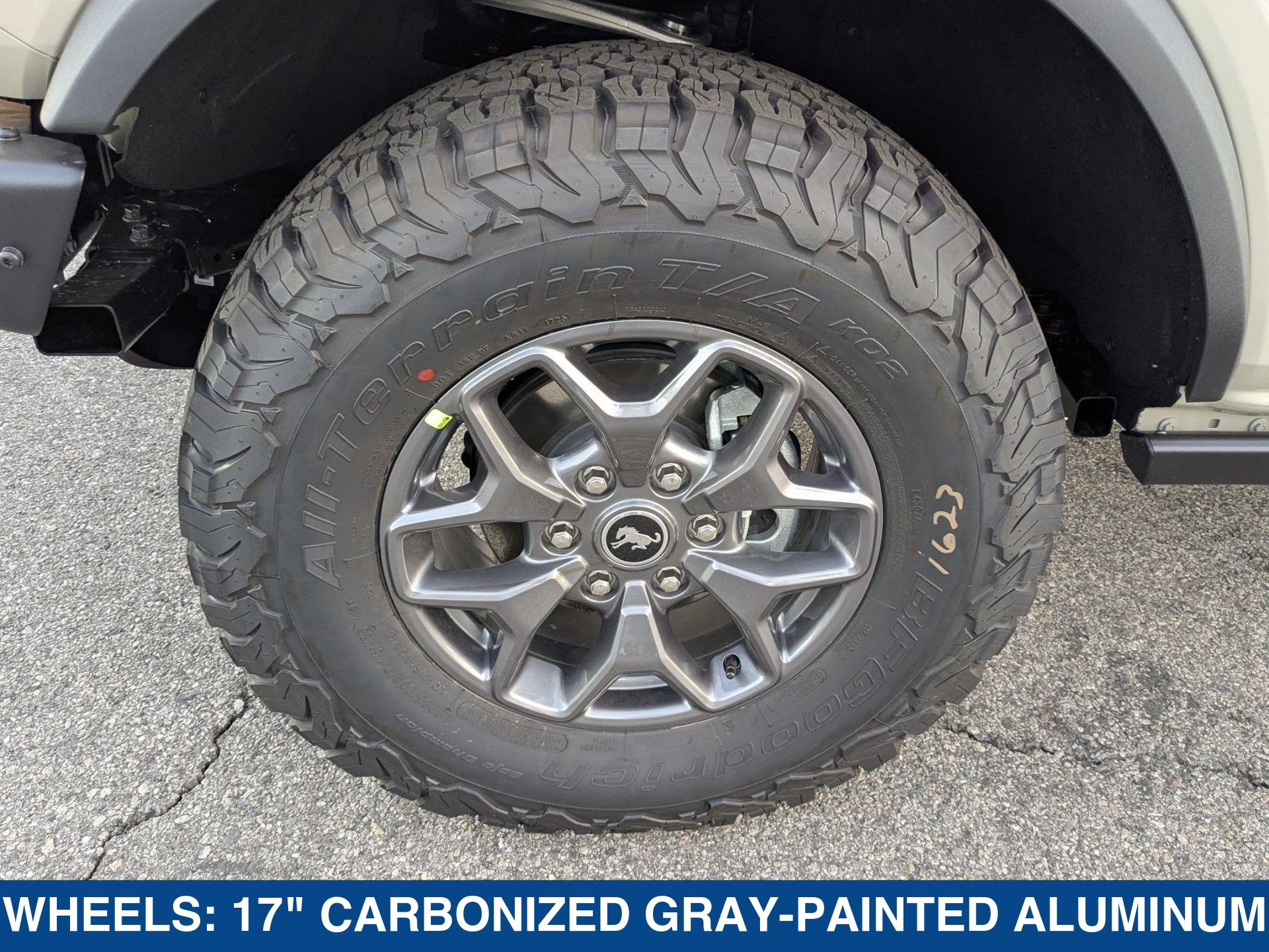 2025 Ford Bronco 4-Door Badlands - Photo 9