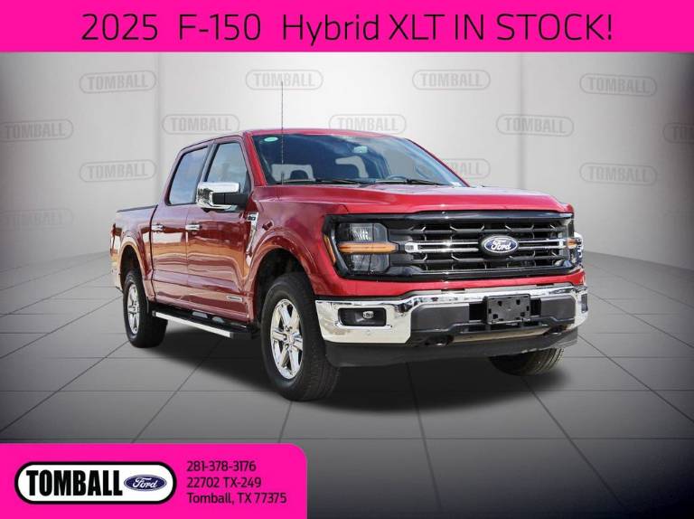 2025 Ford F-150 XLT