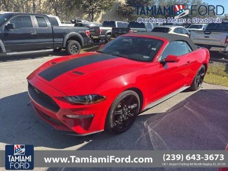 2019 Ford Mustang EcoBoost®