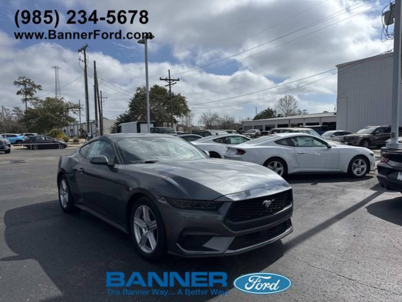 2026 Ford Mustang EcoBoost Fastback's photo