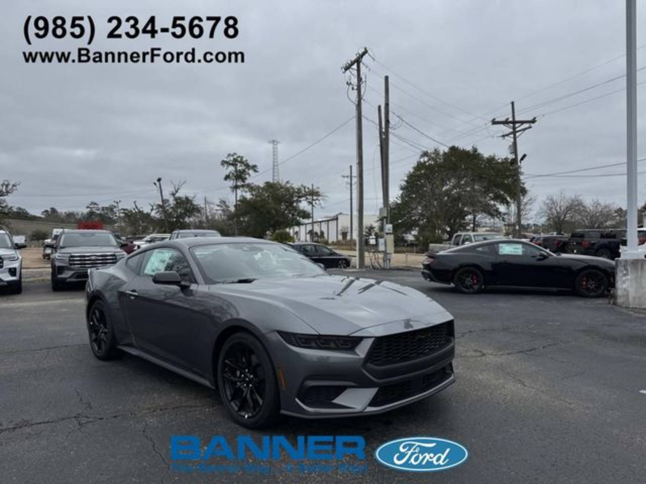 2026 Ford Mustang EcoBoost Fastback's photo