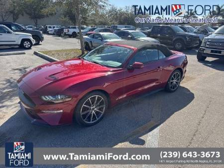 2019 Ford Mustang EcoBoost®