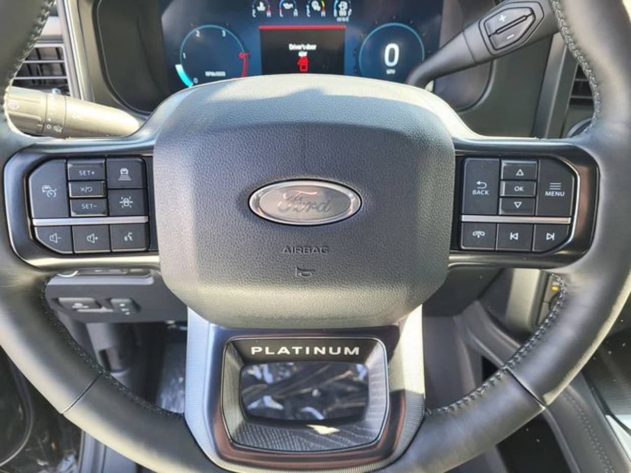 2025 Ford F-250 Super Duty Platinum - Photo 6
