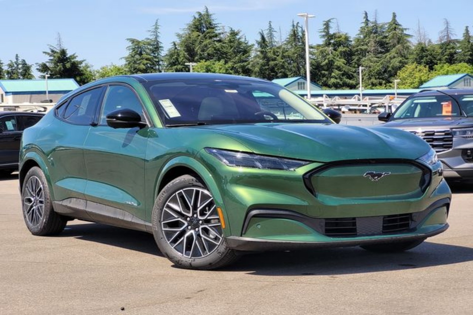 2025 Ford Mustang-Mach-e Premium's photo