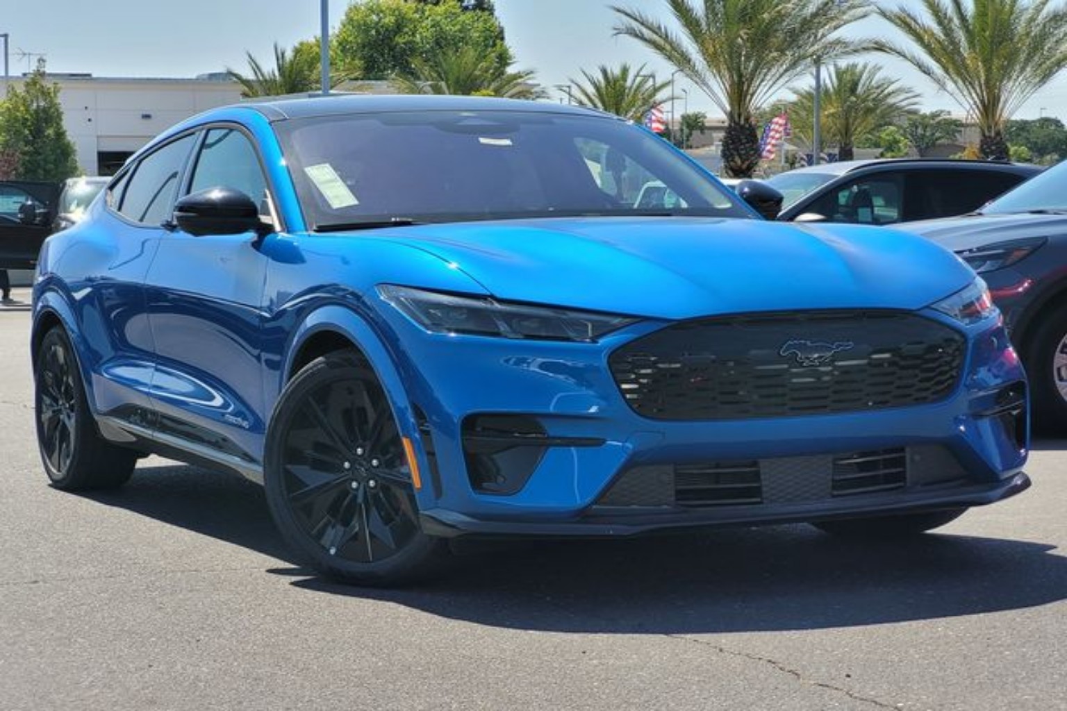 2025 Ford Mustang-Mach-e GT's photo