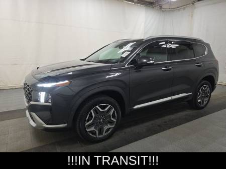 2021 Hyundai Santa Fe Calligraphy