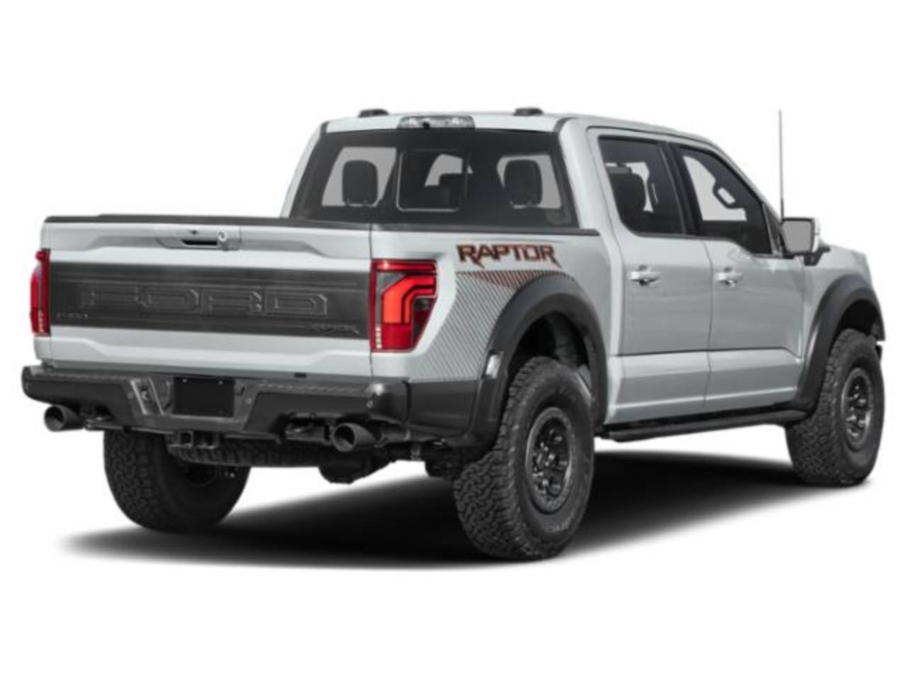 1FTFW1RG8TFA13384