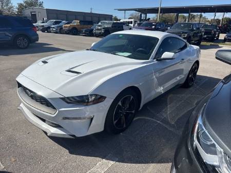 2019 Ford Mustang EcoBoost®