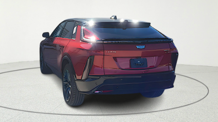Showcase Image
